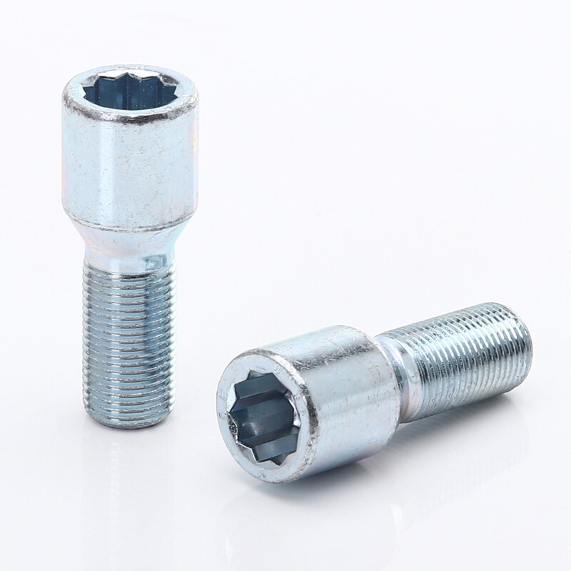 Vis de Roue Argentées à Empreinte Interne M12x1.25 (Pack de 20) 