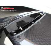 Aileron en Carbone "Snake Style" (160 cm)