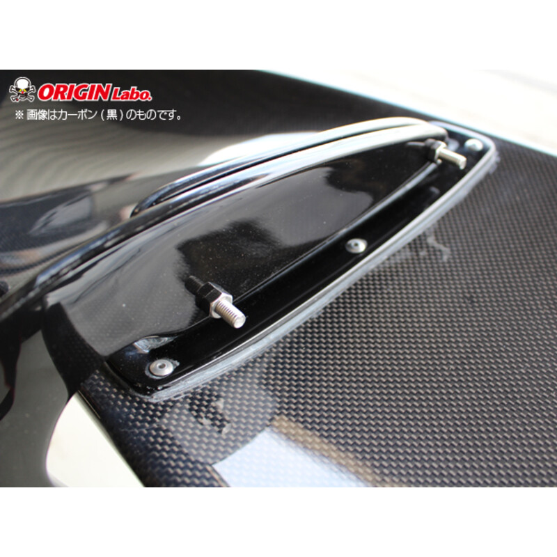 Aileron en Carbone "Snake Style" (160 cm)