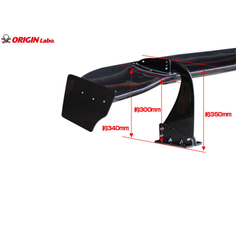 Aileron en Carbone "Snake Style" (160 cm)