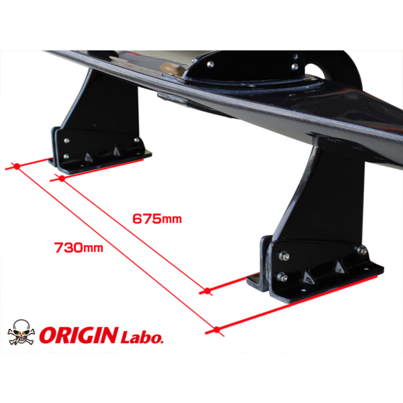 Aileron en Carbone "Snake Style" (160 cm)