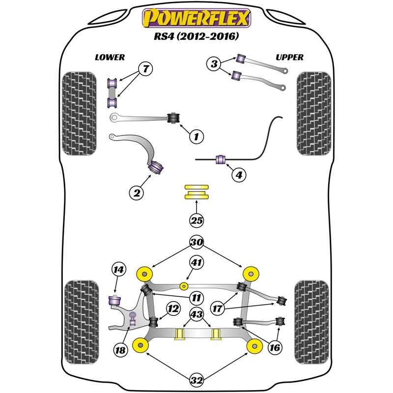 Silentblocs Powerflex pour Audi RS4 B8 (12-16)