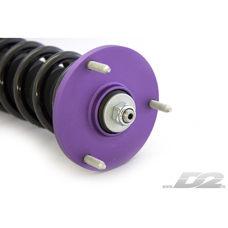 Combinés Filetés D2 Street pour BMW Série 5 E39 (95-03)