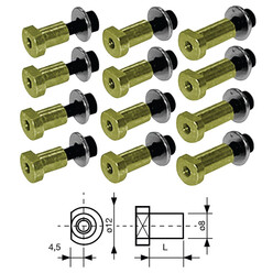 Kit de 12 bobines pour disque de frein flottant - longueur 10.7mm