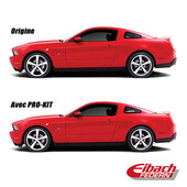 Ressorts Eibach Audi A3 SptBack 1.4>1.8Tfsi Année 8.12> Avant/Ar 30mm