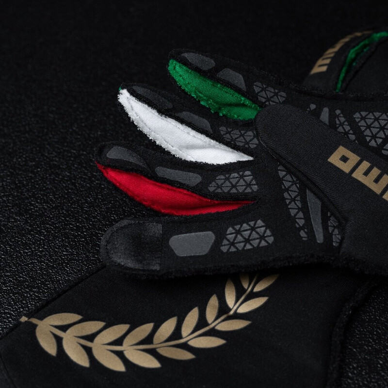 Gants Momo Corsa Pro Anniversario (FIA)