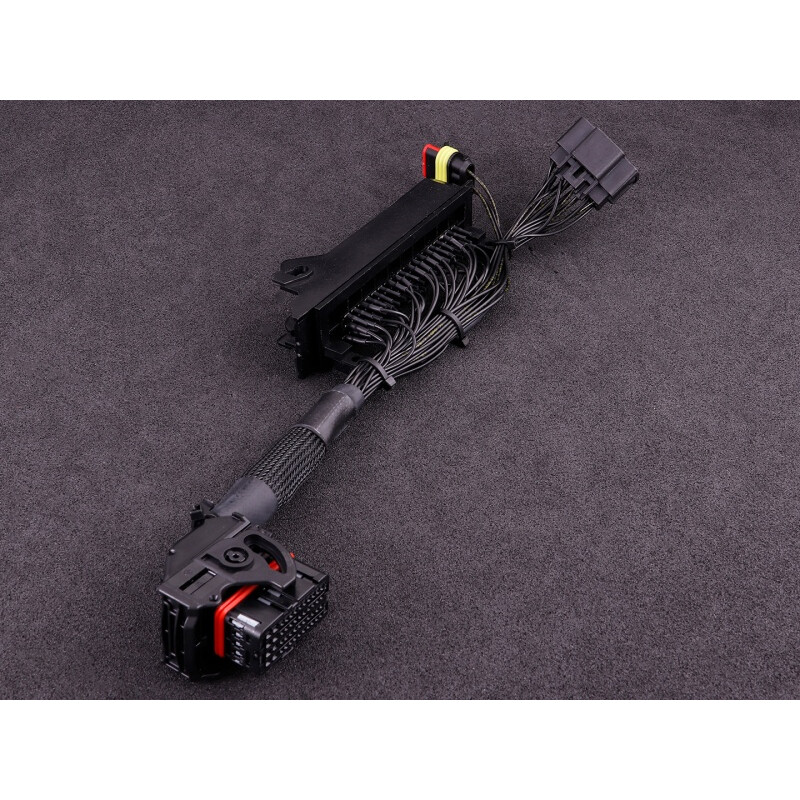Adaptateurs de Faisceaux "Plug-in" MaxxECU