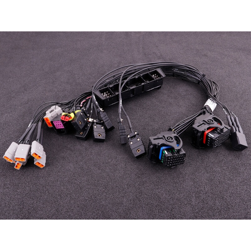 Adaptateurs de Faisceaux "Plug-in" MaxxECU