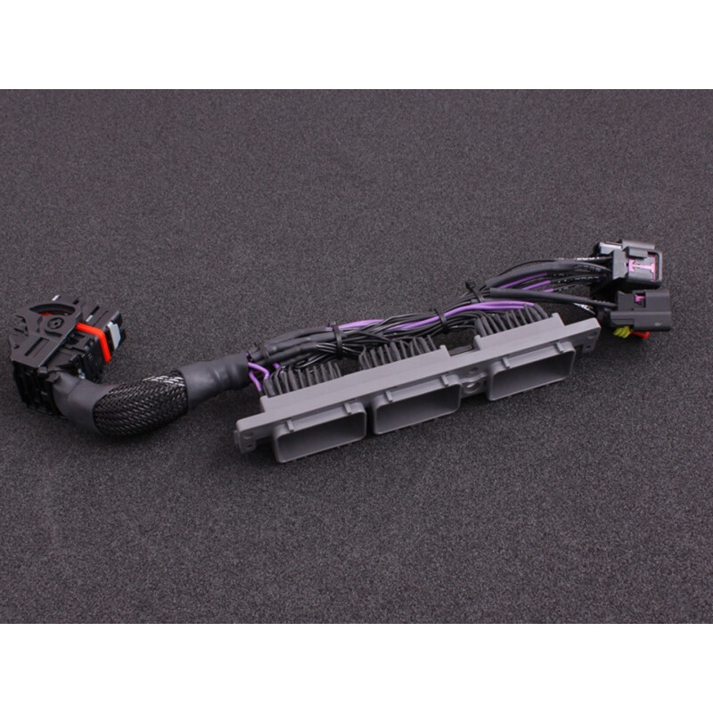 Adaptateurs de Faisceaux "Plug-in" MaxxECU