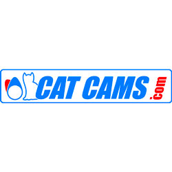 Cat Cams